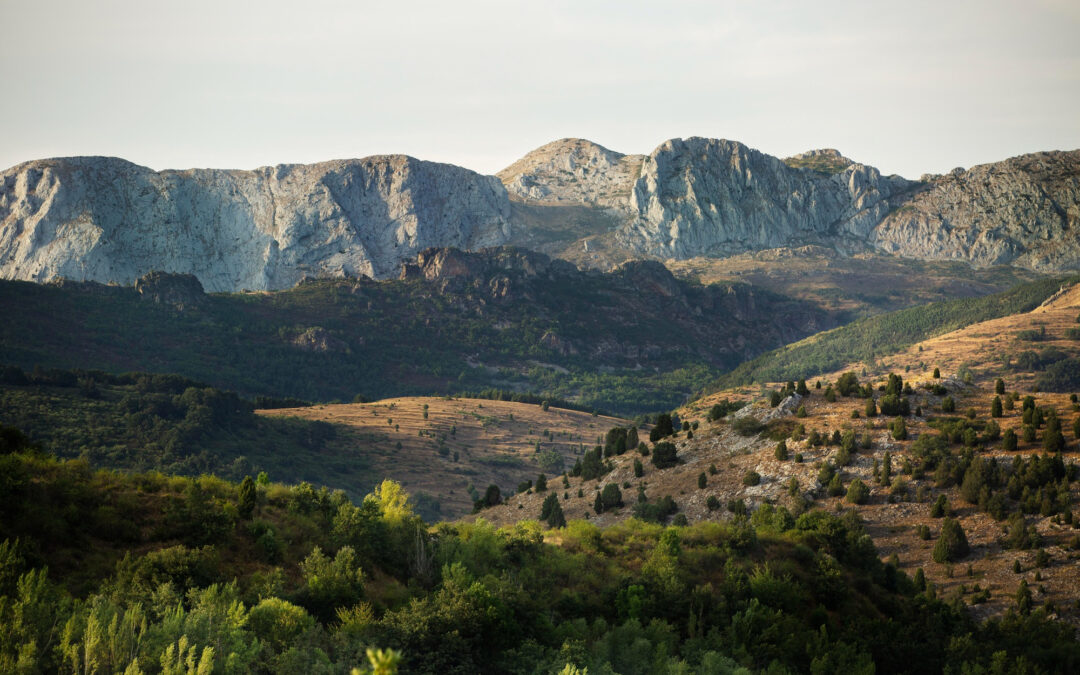 Bienvenidos a Espacio Relacional: Una apuesta por la salud mental de la Serranía de Ronda